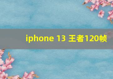 iphone 13 王者120帧